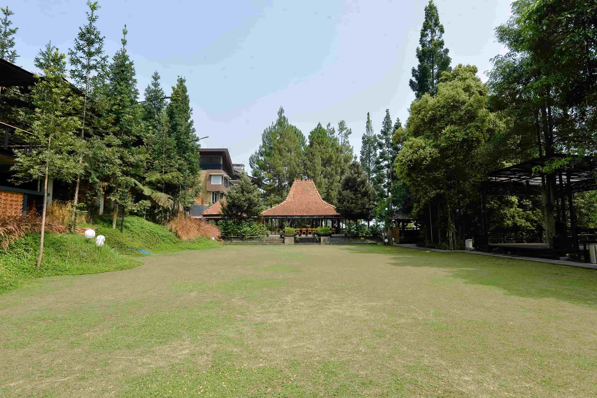 Halaman rumput luas VANA SHANKARA dengan pepohonan dan bangunan di sekelilingnya