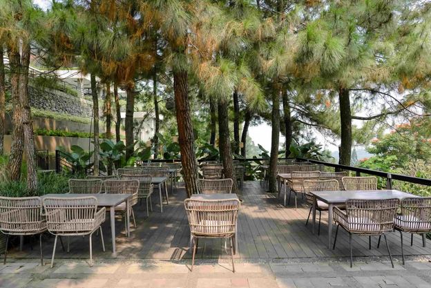 Teras cafe VANA SHANKARA dengan kursi rotan di bawah pepohonan tinggi