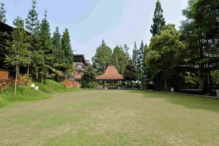 Halaman rumput luas VANA SHANKARA dengan pepohonan dan bangunan di sekelilingnya